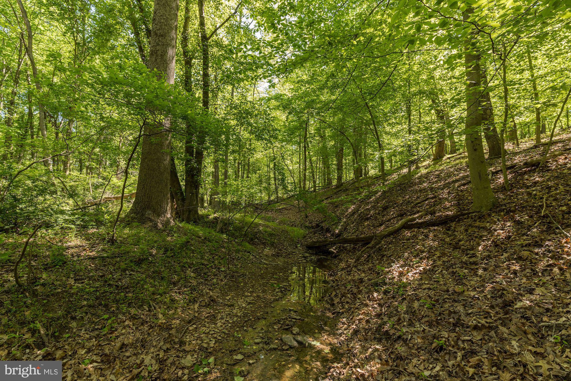 Lot 8 Knoll Road Mount Airy, MD 21771 - Photo 8 of 14