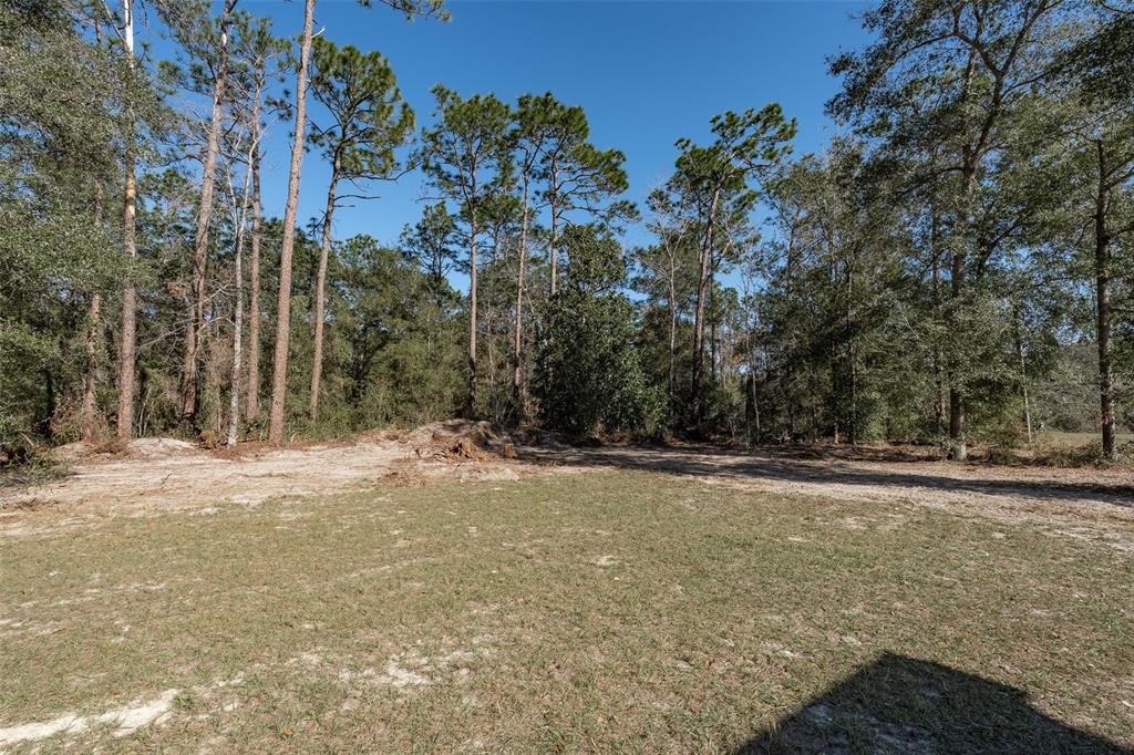6425 Cartwrite Road Spring Hill, FL 34609 - Photo 58 of 74 a view of a yard with a tree
