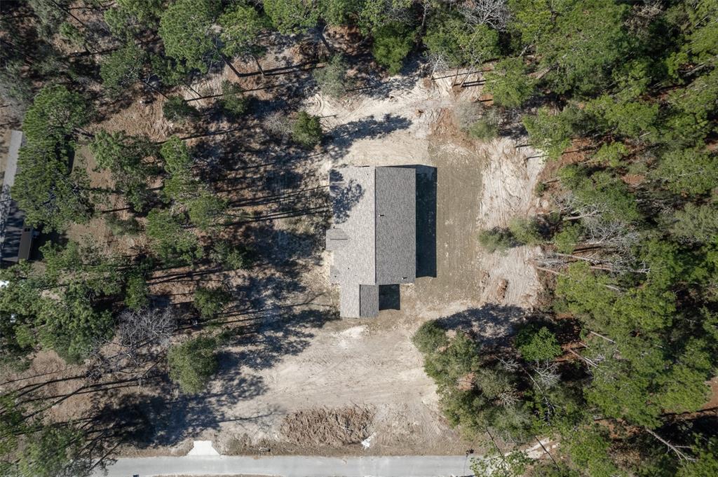 6425 Cartwrite Road Spring Hill, FL 34609 - Photo 74 of 74 a view of a yard with plants and large trees