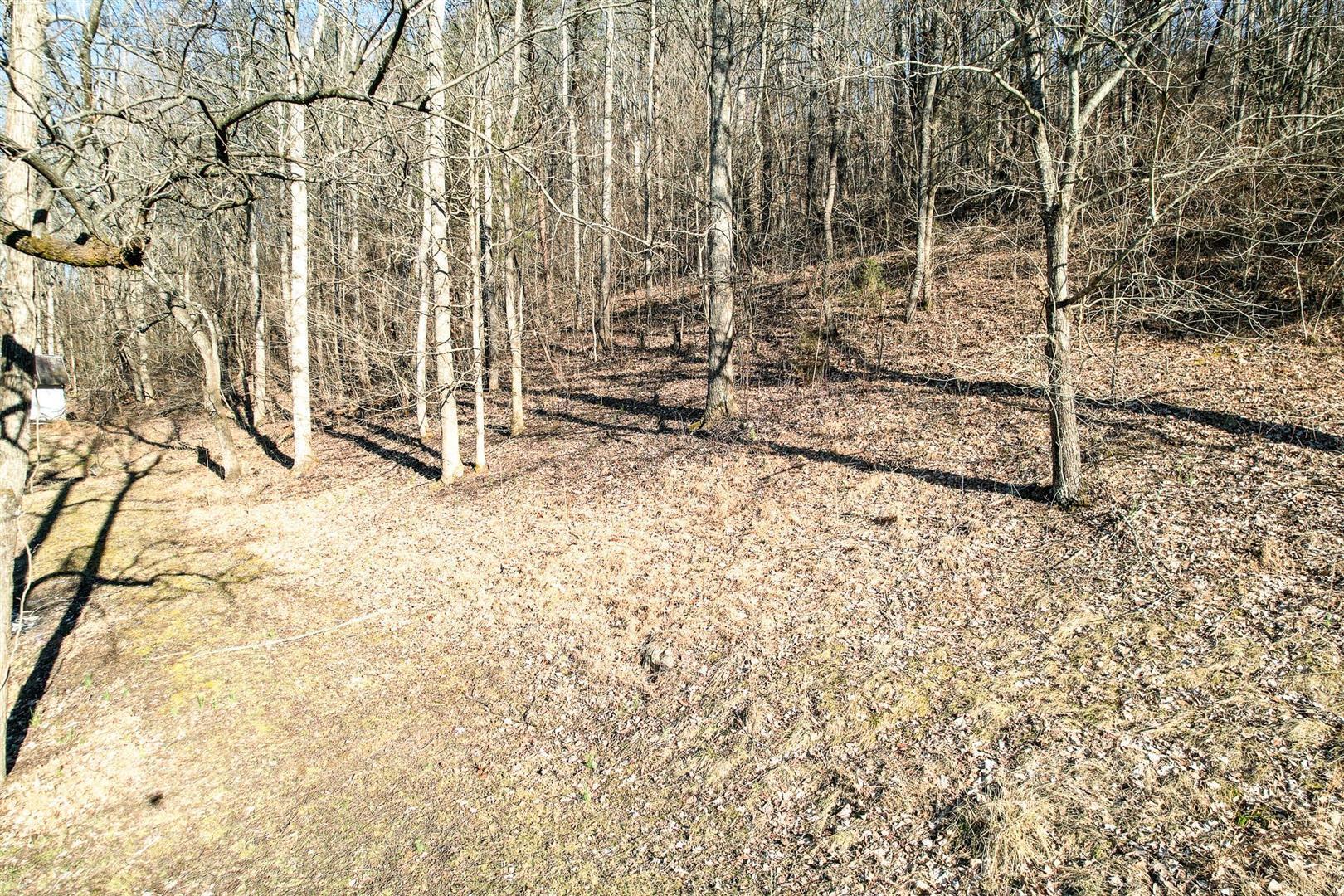 800 Belle Road Chuckey, TN 37641 - Photo 21 of 42 21