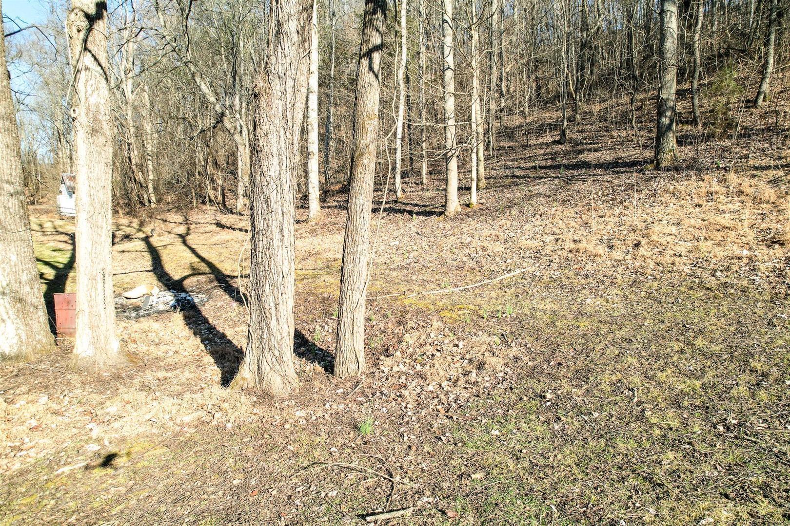 800 Belle Road Chuckey, TN 37641 - Photo 22 of 42 22