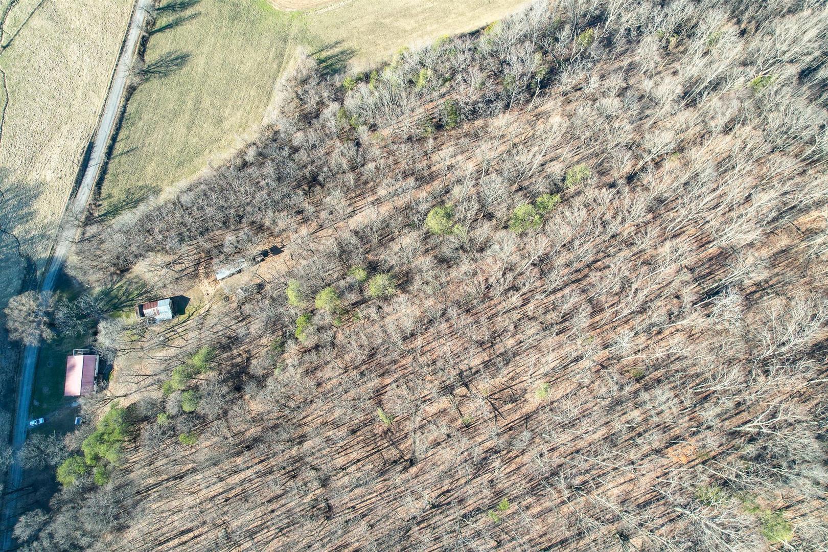 800 Belle Road Chuckey, TN 37641 - Photo 28 of 42 28