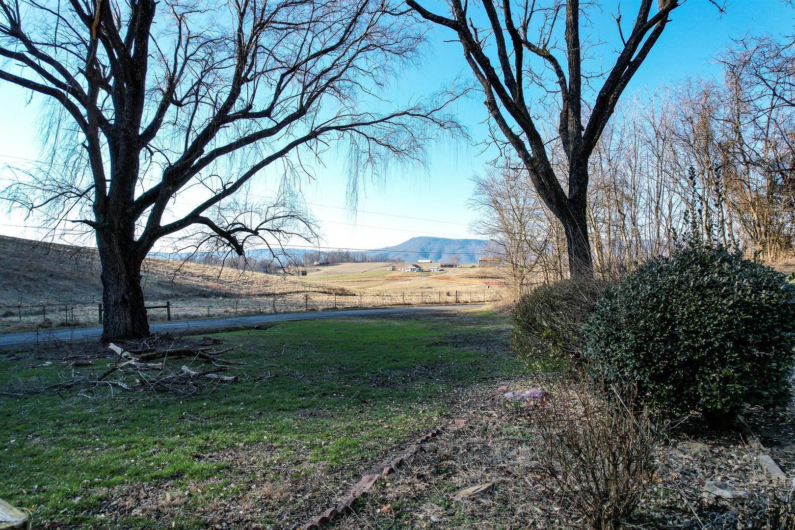 800 Belle Road Chuckey, TN 37641 - Photo 3 of 42 3