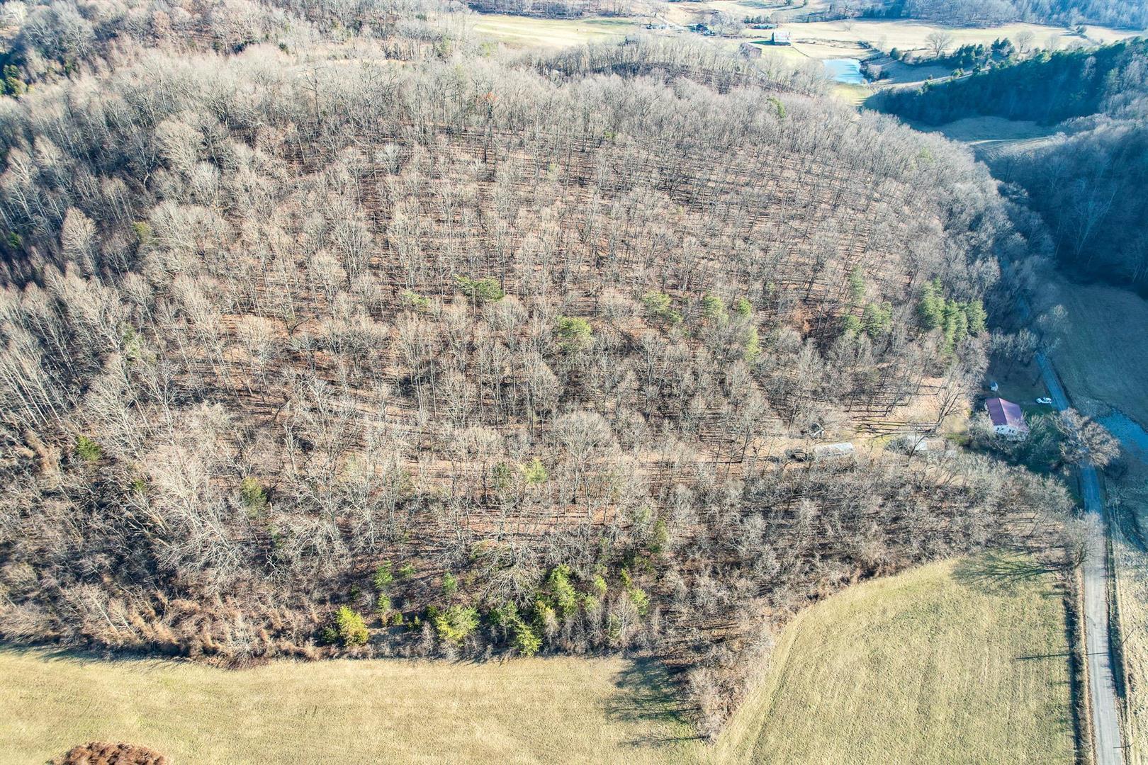800 Belle Road Chuckey, TN 37641 - Photo 38 of 42 38
