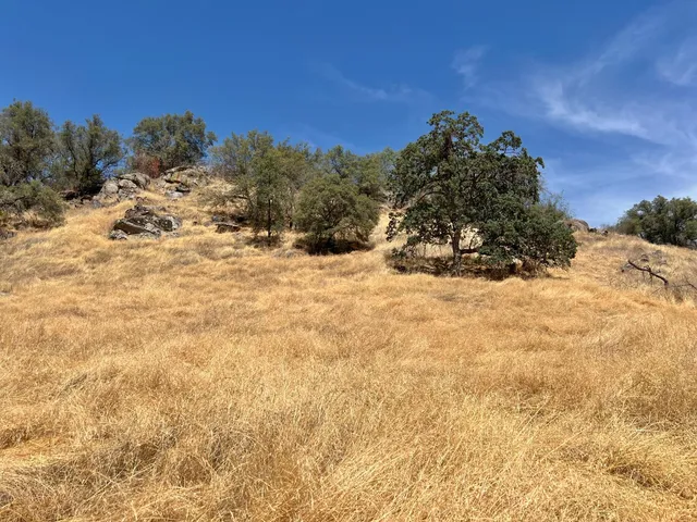 $400,000 | 37180 Mistletoe Road, Squaw Valley, CA 93675