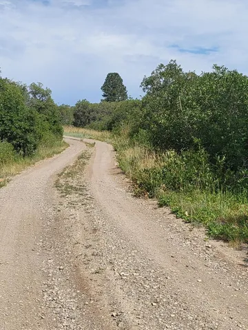 $175,000 | 33 North Gurley Lake Drive, Norwood, CO 81423