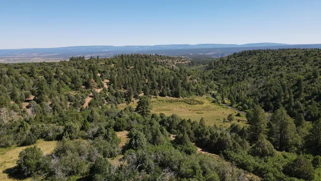 $175,000 | 33 North Gurley Lake Drive, Norwood, CO 81423