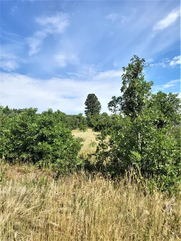 $175,000 | 33 North Gurley Lake Drive, Norwood, CO 81423