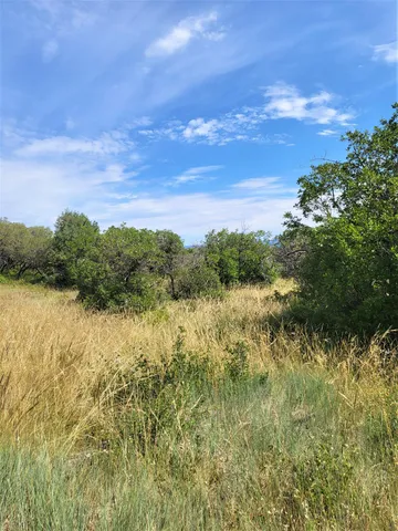 $175,000 | 33 North Gurley Lake Drive, Norwood, CO 81423