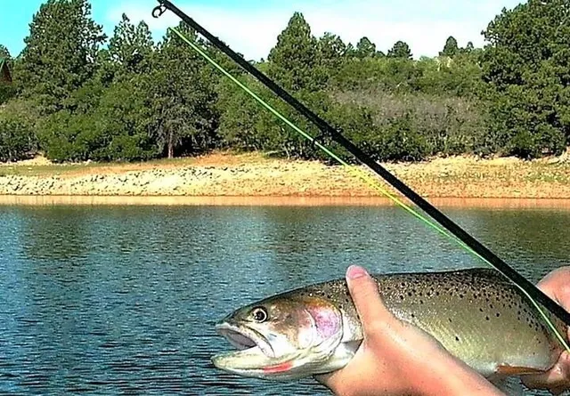 $175,000 | 33 North Gurley Lake Drive, Norwood, CO 81423