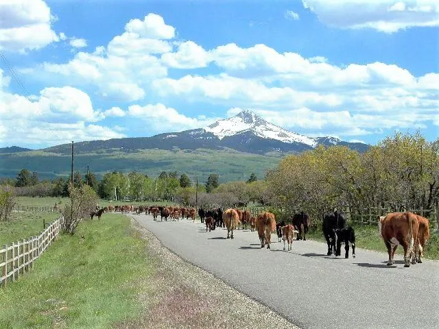 $175,000 | 33 North Gurley Lake Drive, Norwood, CO 81423