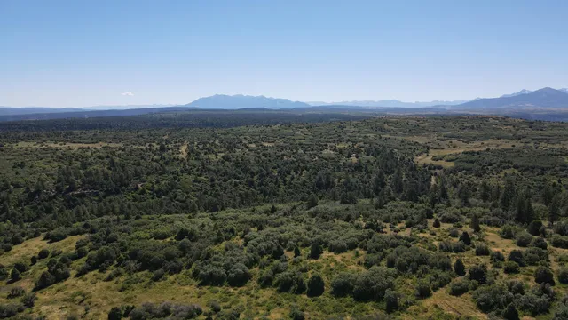 $175,000 | 33 North Gurley Lake Drive, Norwood, CO 81423