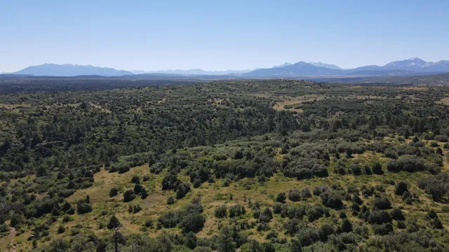 $175,000 | 33 North Gurley Lake Drive, Norwood, CO 81423