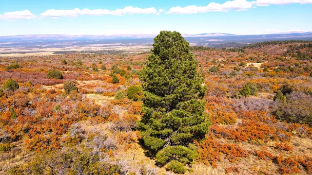 $175,000 | 33 North Gurley Lake Drive, Norwood, CO 81423