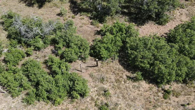 $175,000 | 33 North Gurley Lake Drive, Norwood, CO 81423