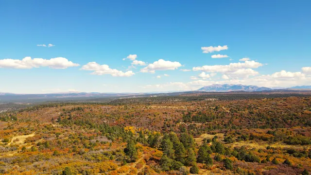 $175,000 | 33 North Gurley Lake Drive, Norwood, CO 81423