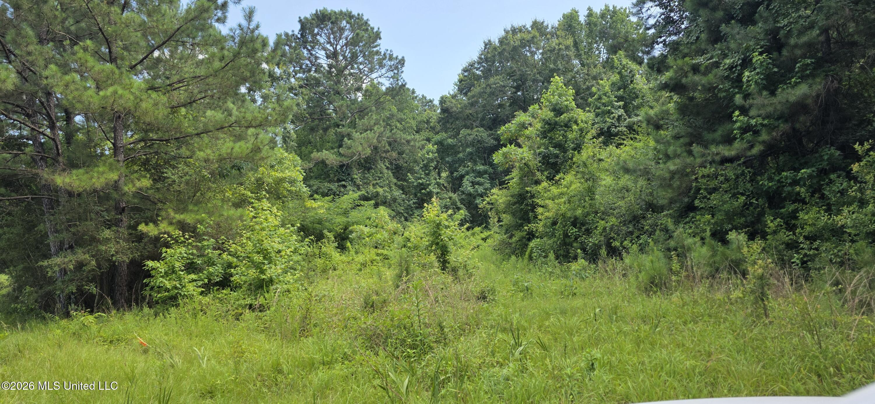 2046 Barto Leggett Road McComb, MS 39648 - Photo 6 of 29 20260623_155708