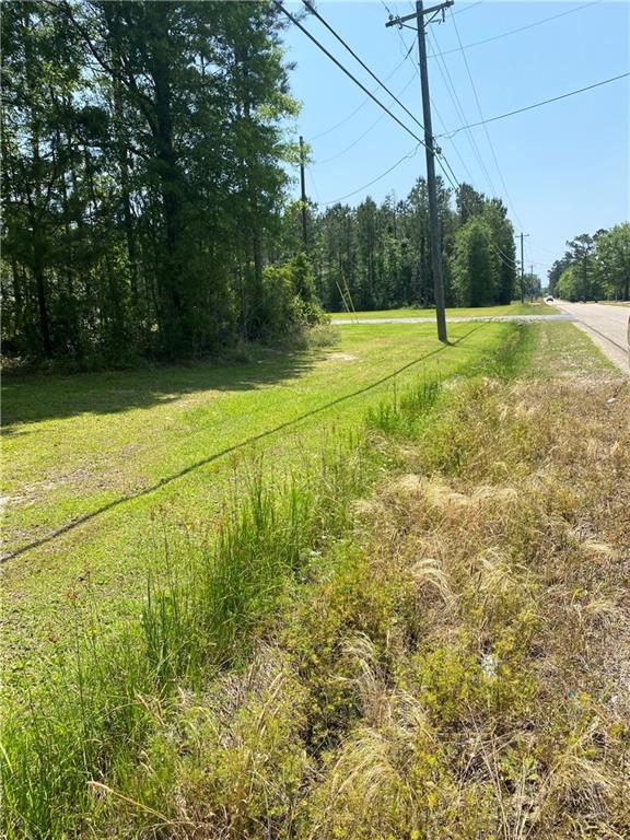31854 Pea Ridge Road Albany, LA 70711 - Photo 3 of 7