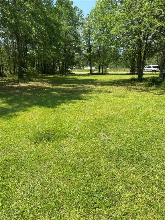 31854 Pea Ridge Road Albany, LA 70711 - Photo 6 of 7