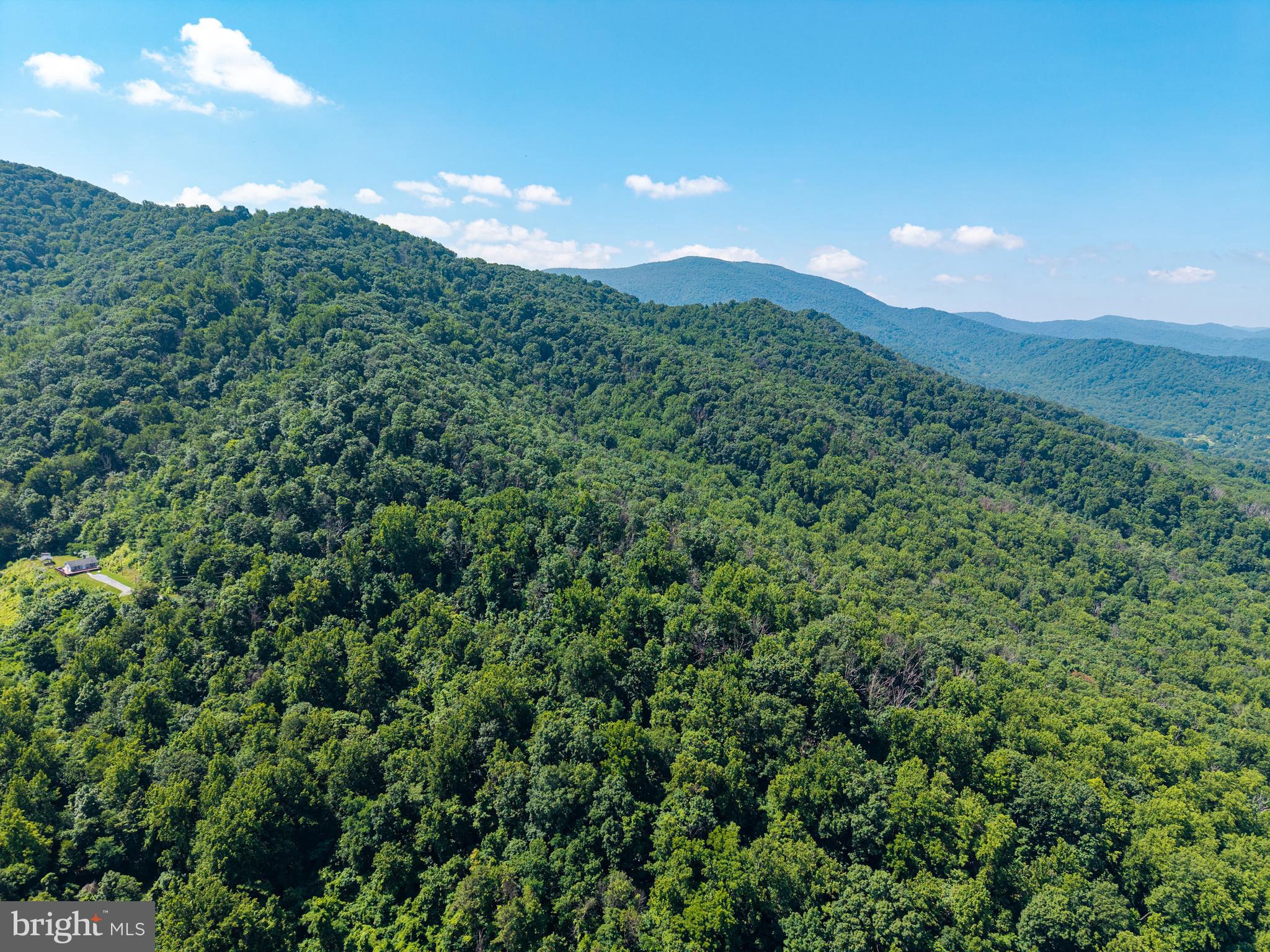 0 Helms Road Stanley, VA 22851 - Photo 7 of 50