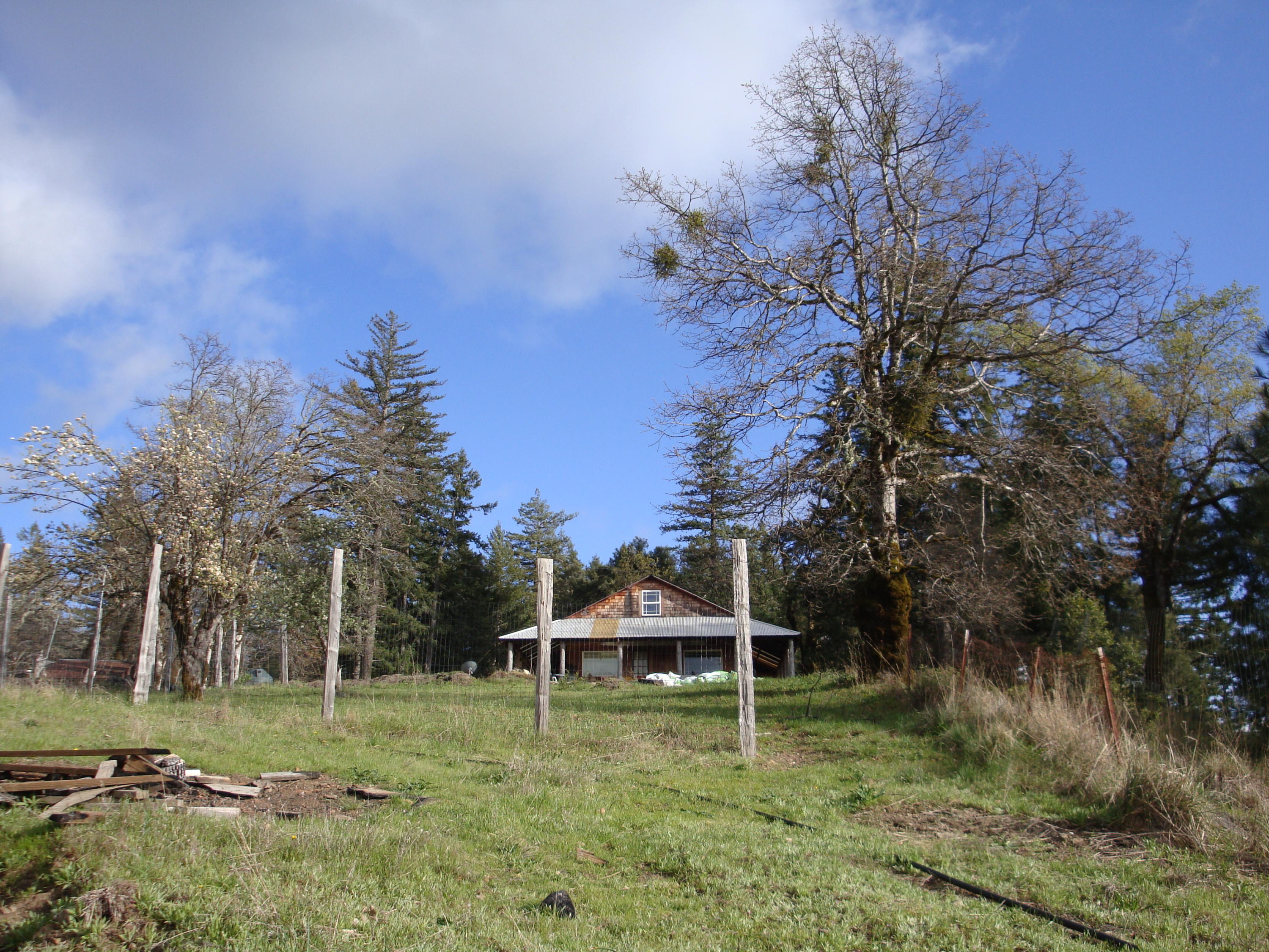 0 Buck Mountain Road Bridgeville, CA 95526 - Photo 24 of 33