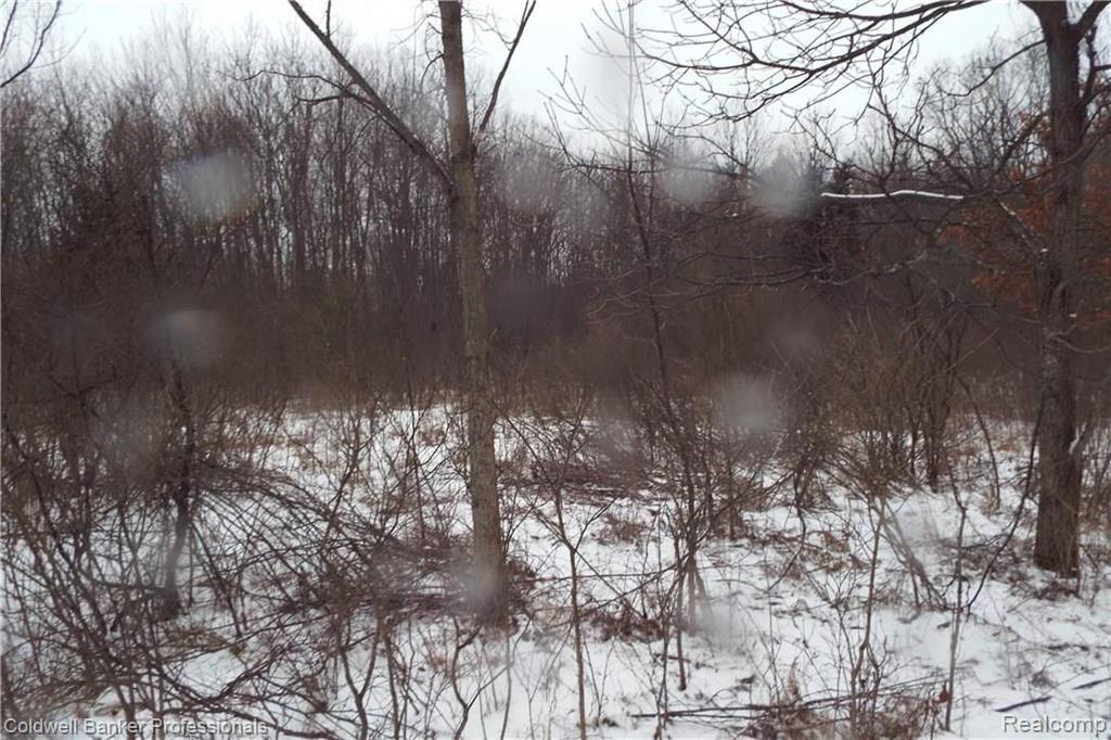 Eight West Eight Mile Road South Lyon, MI 48178 - Photo 56 of 58
