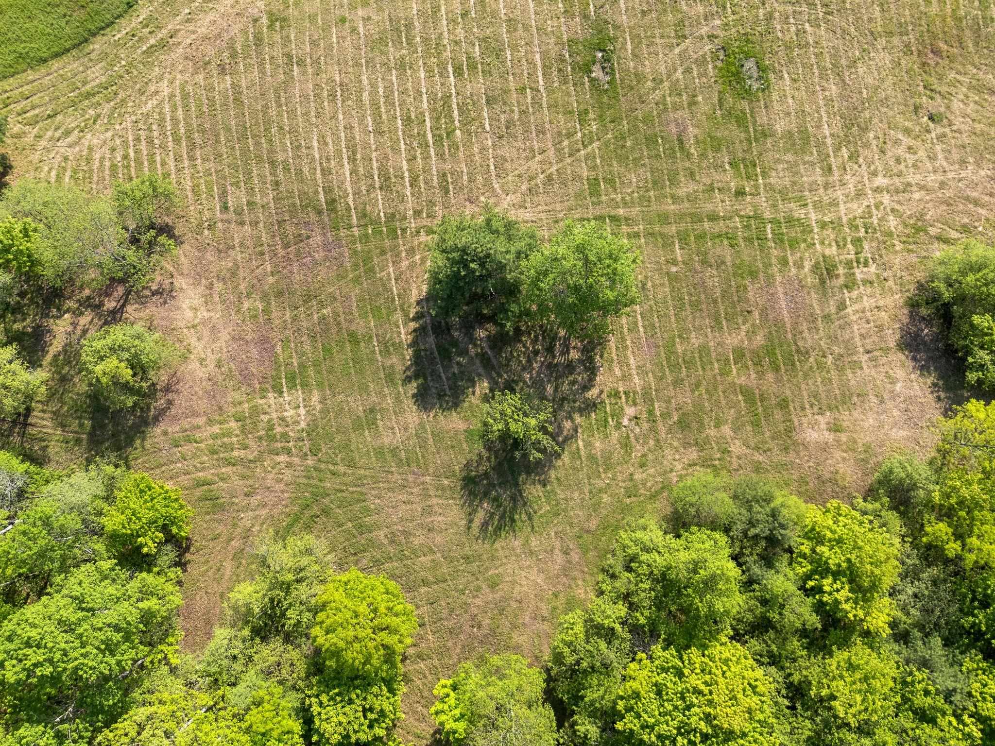 0 Newton Lane White River Junction, VT 05001 - Photo 14 of 35