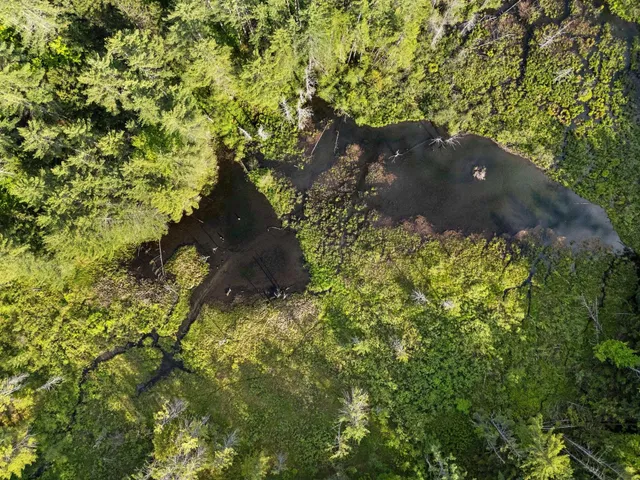 $998,000 | 0 Newton Lane, White River Junction, VT 05001