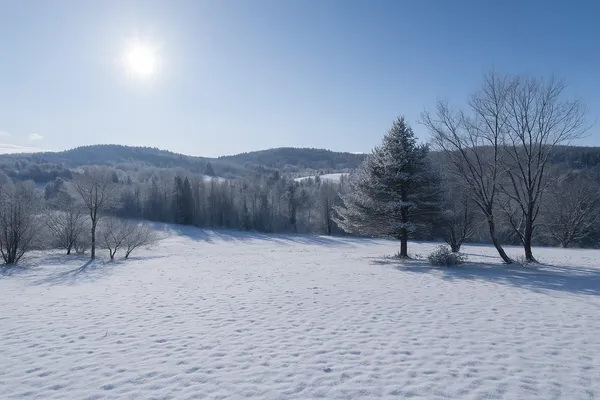 $939,000 | 0 Newton Lane, White River Junction, VT 05001