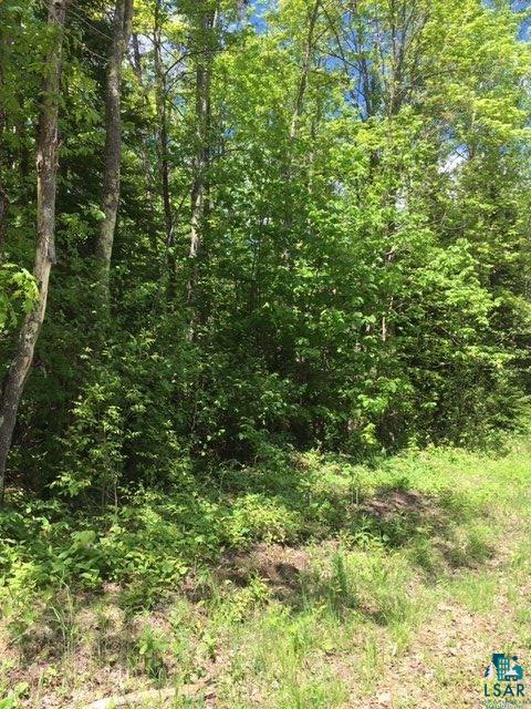 Xxxx Hoover Line Road Iron River, WI 54847 - Photo 3 of 3 Gallery Image 3