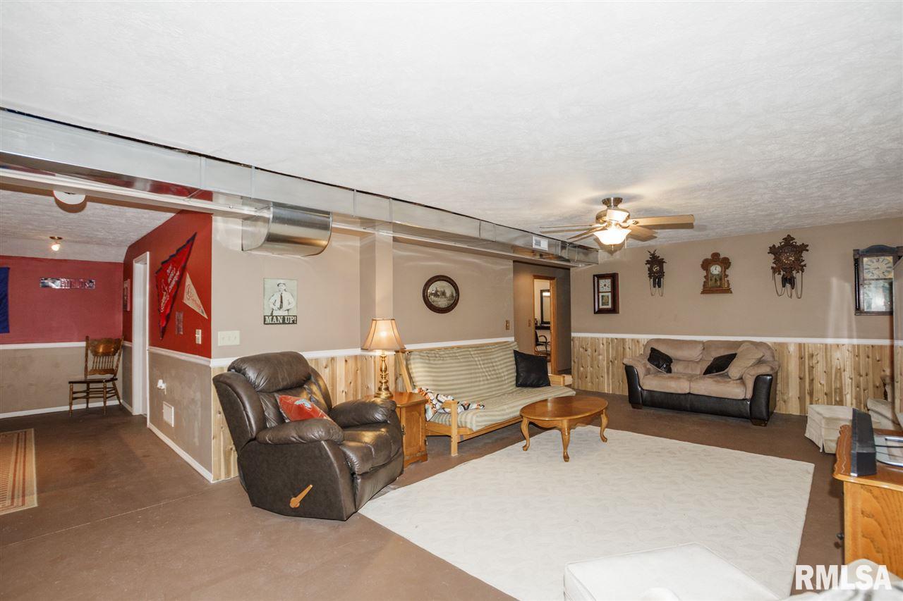 4902 Delavan Road Delavan, IL 61734 - Photo 21 of 36