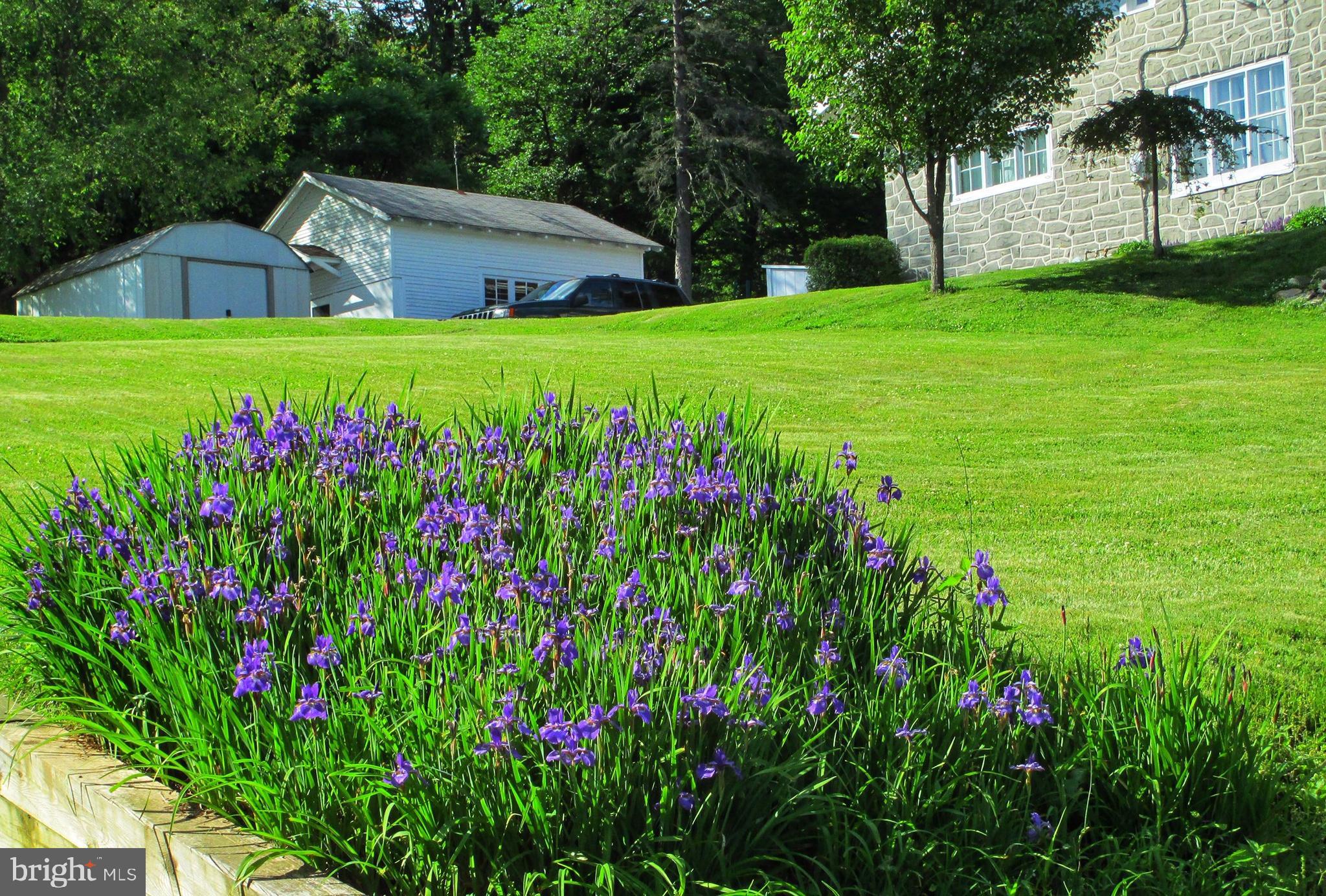 1700 Friedensburg Road Reading, PA 19606 - Photo 35 of 37 Lawn w/ shed and detached garage Springtime