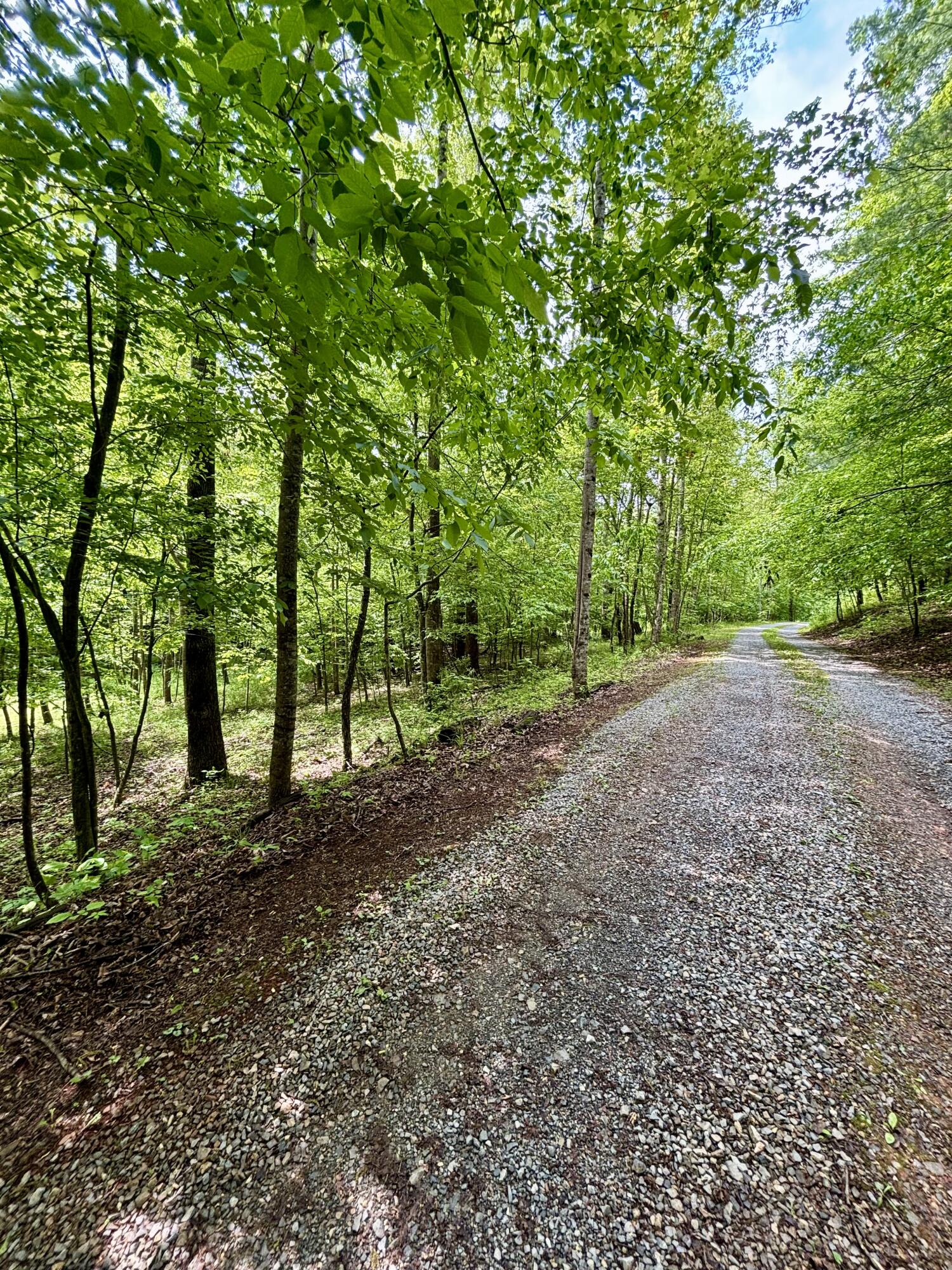 175 Webb Mountain Road Boones Mill, VA 24065 - Photo 41 of 42 IMG_1907