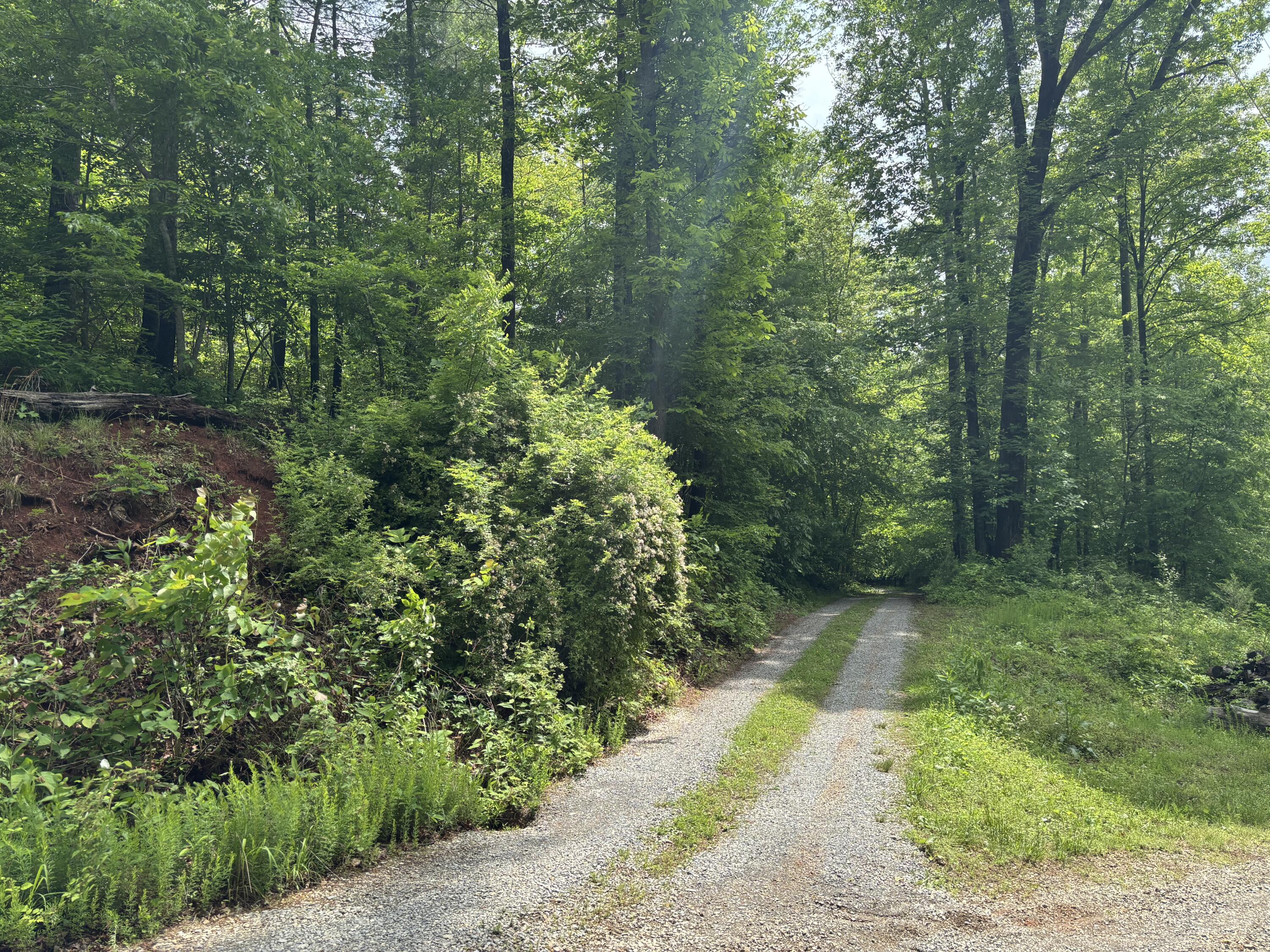 175 Webb Mountain Road Boones Mill, VA 24065 - Photo 42 of 42 IMG_1912