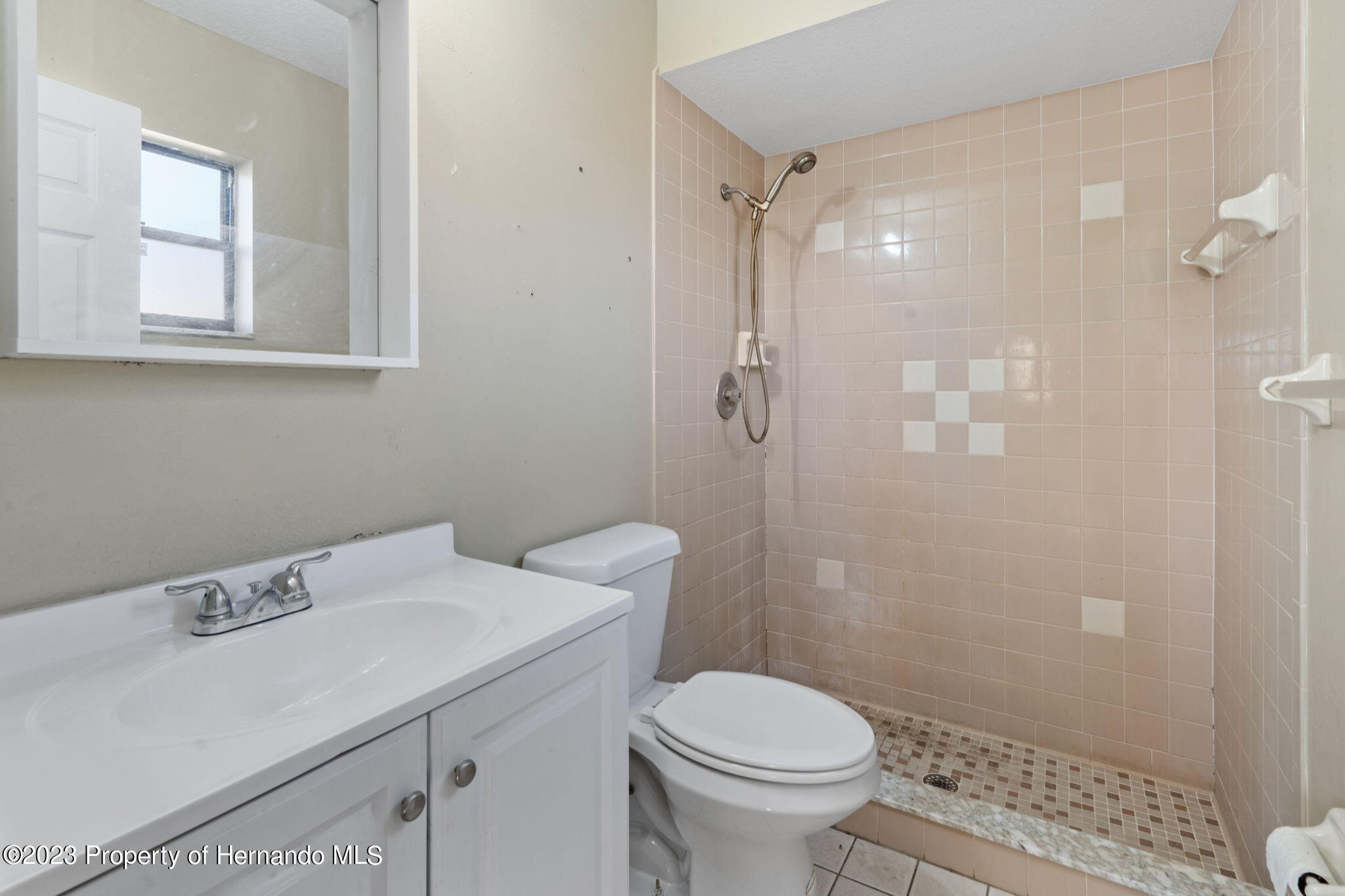10479 Thornberry Drive Spring Hill, FL 34608 - Photo 22 of 44 a bathroom with a sink a toilet and shower