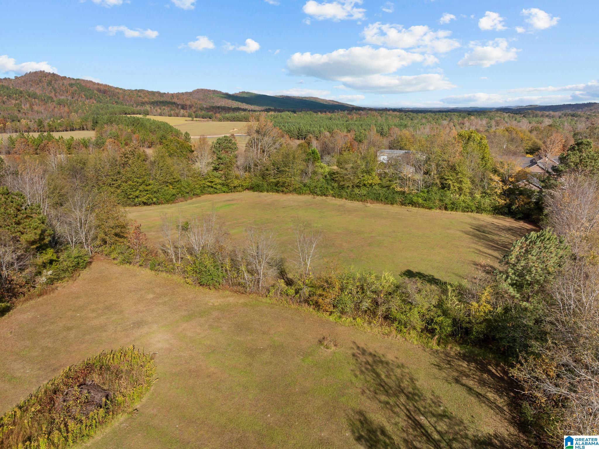 0 Armstrong Road, Unit 1 Ashville, AL 35953 - Photo 7 of 12