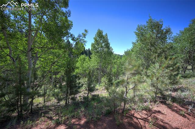 412 Princess Road Cripple Creek, CO 80813 - Photo 12 of 45 Gallery Image 12