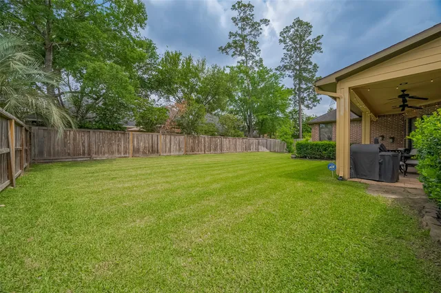 a view of a back yard