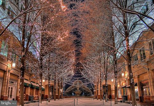 2452 Cloudcroft Square Reston, VA 20191 - Photo 23 of 25 Evening at Reston Town Center
