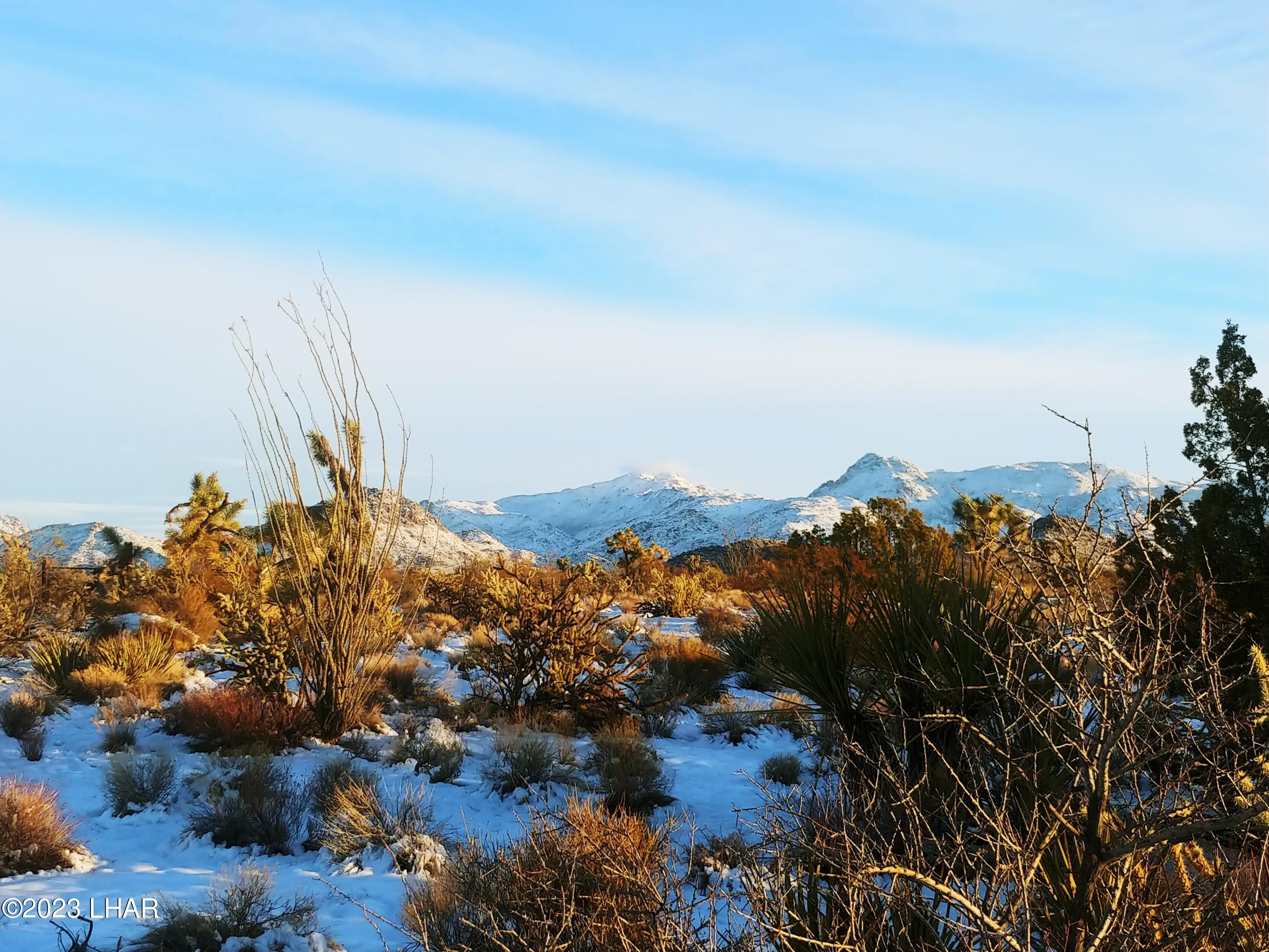 606 South Billy The Kid Road Yucca, AZ 86438 - Photo 20 of 23 Winter snow fall at the ranch