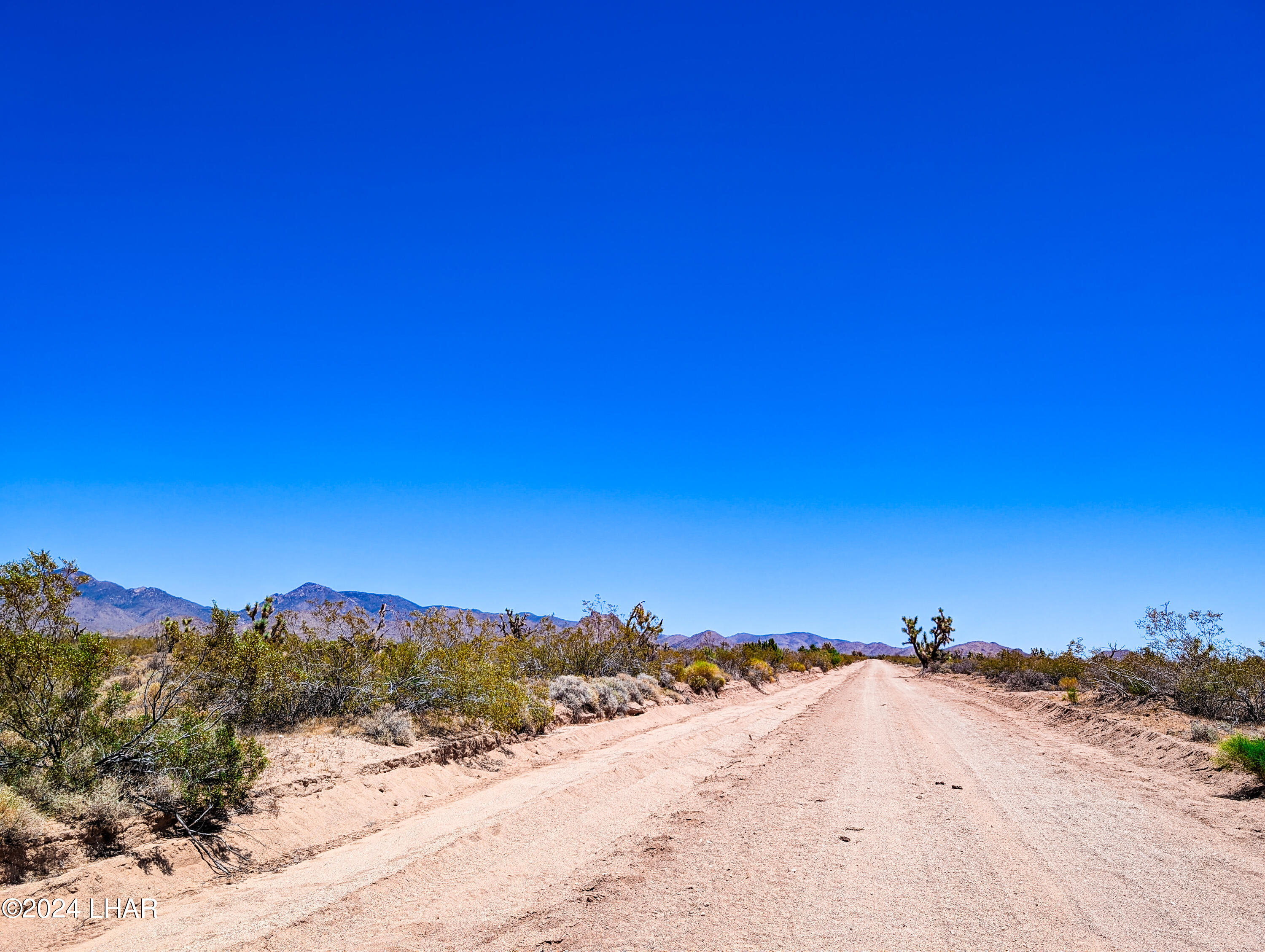 606 South Billy The Kid Road Yucca, AZ 86438 - Photo 4 of 23 shadow (2)