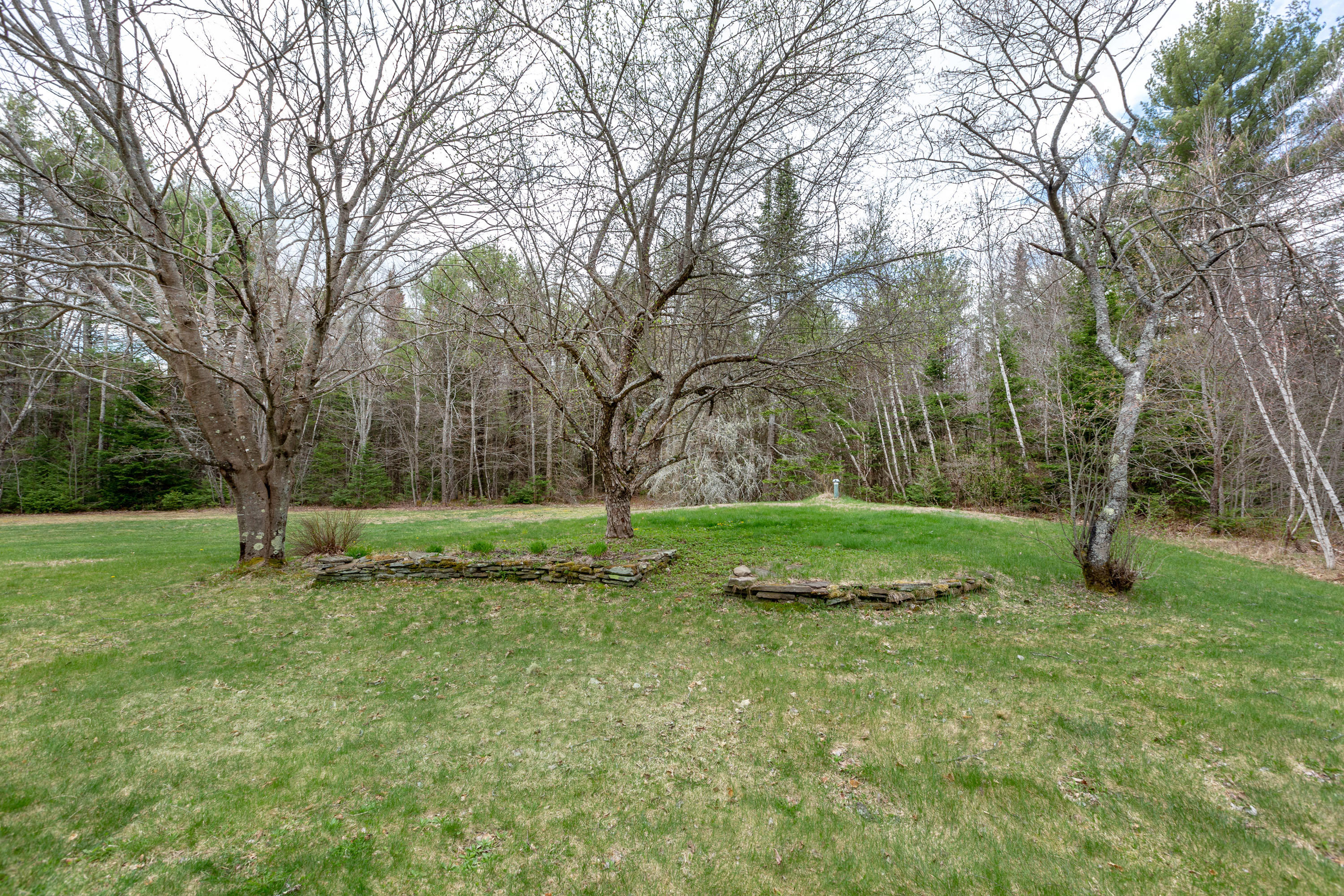 159 Plummer Mill Road Durham, ME 04222 - Photo 76 of 79 Plummer Mill_Domingos_08