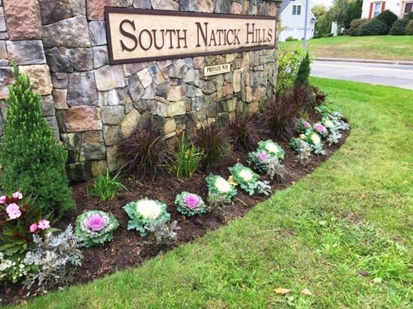 7 Morgan Drive, Unit 104 Natick, MA 01760 - Photo 23 of 26 a view of a bunch of flowers