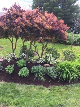 7 Morgan Drive, Unit 104 Natick, MA 01760 - Photo 24 of 26 a view of a garden with plants