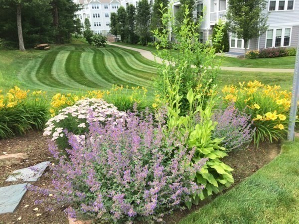 7 Morgan Drive, Unit 104 Natick, MA 01760 - Photo 25 of 26 a view of a swimming pool with a garden
