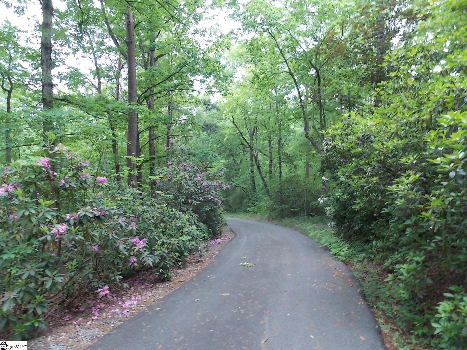 512 Doe Run Pickens, SC 29671 - Photo 41 of 43