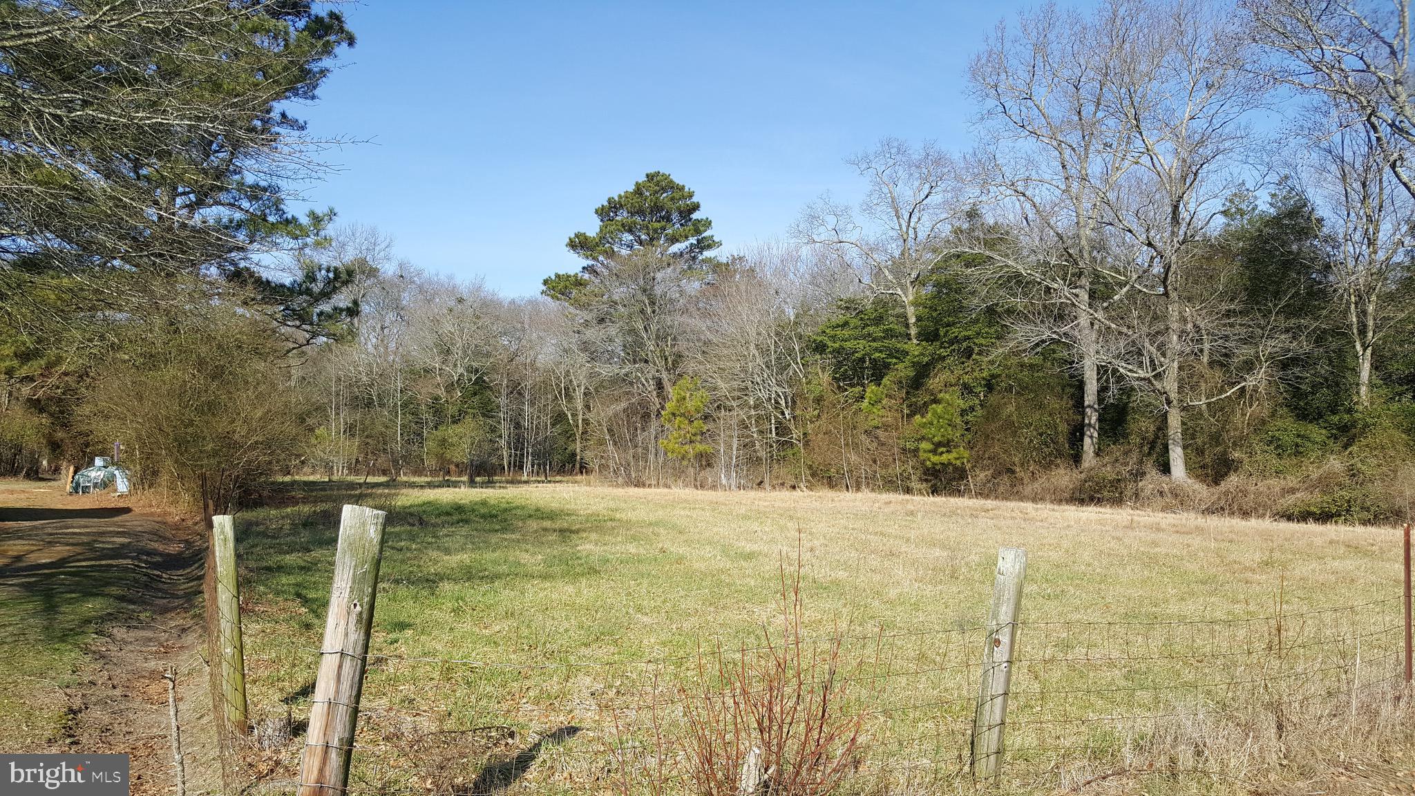 6088 Forest Grove Road Parsonsburg, MD 21849 - Photo 6 of 8 Old Pasture