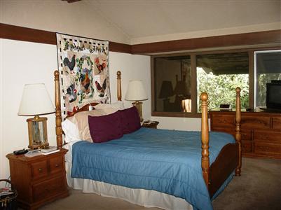 5767 Sonoma Mountain Road Santa Rosa, CA 95404 - Photo 8 of 11 a bedroom with a large bed and a window