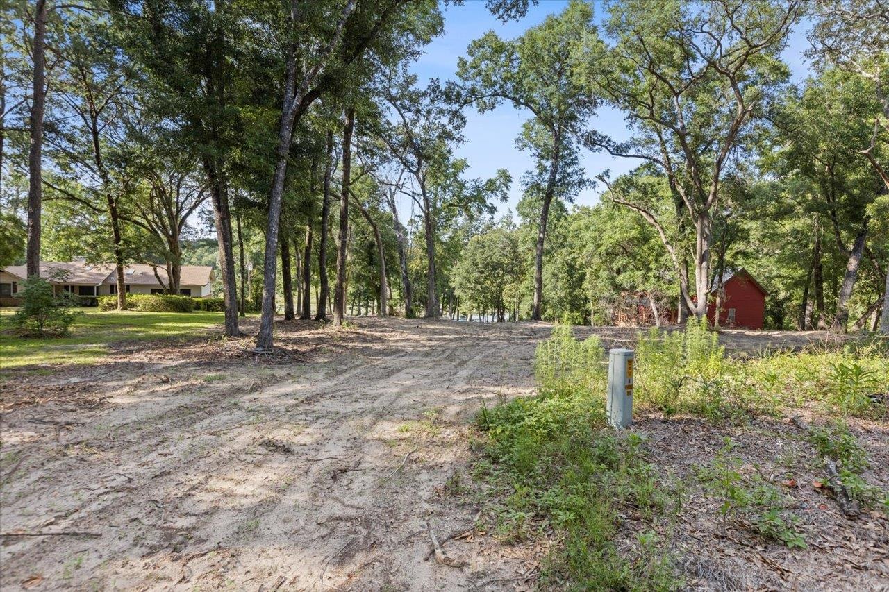 X Gould Road Quincy, FL 32351 - Photo 24 of 42