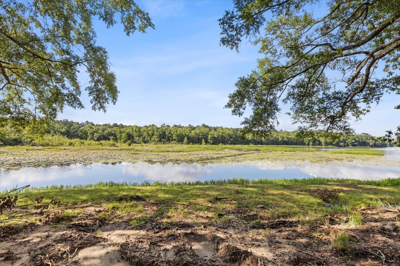 X Gould Road Quincy, FL 32351 - Photo 33 of 42